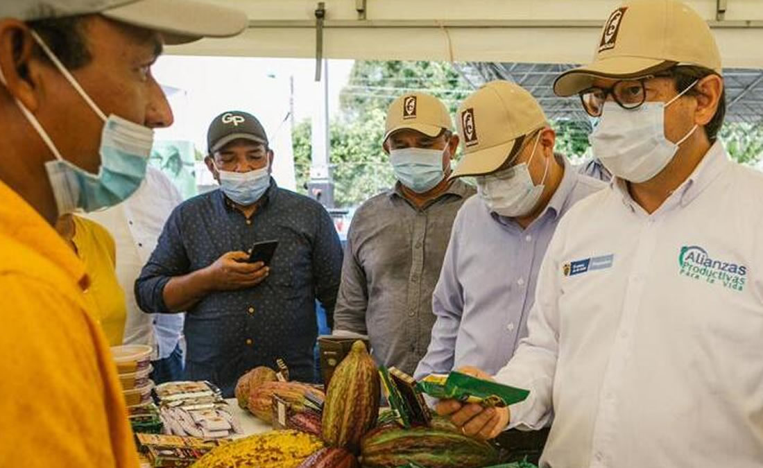 Congreso de la República aprobó el proyecto de ley que busca la adhesión de Colombia a la Organización Internacional del Cacao