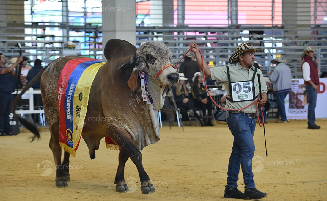 CONOZCA LOS DETALLES DE LA VERSIÓN DE AGROEXPO.